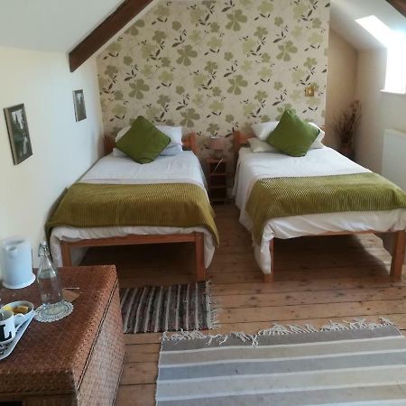 Bed and Breakfast Y Garreg Wen Llanybyther Exteriér fotografie