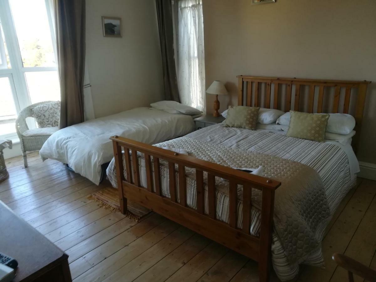 Bed and Breakfast Y Garreg Wen Llanybyther Exteriér fotografie