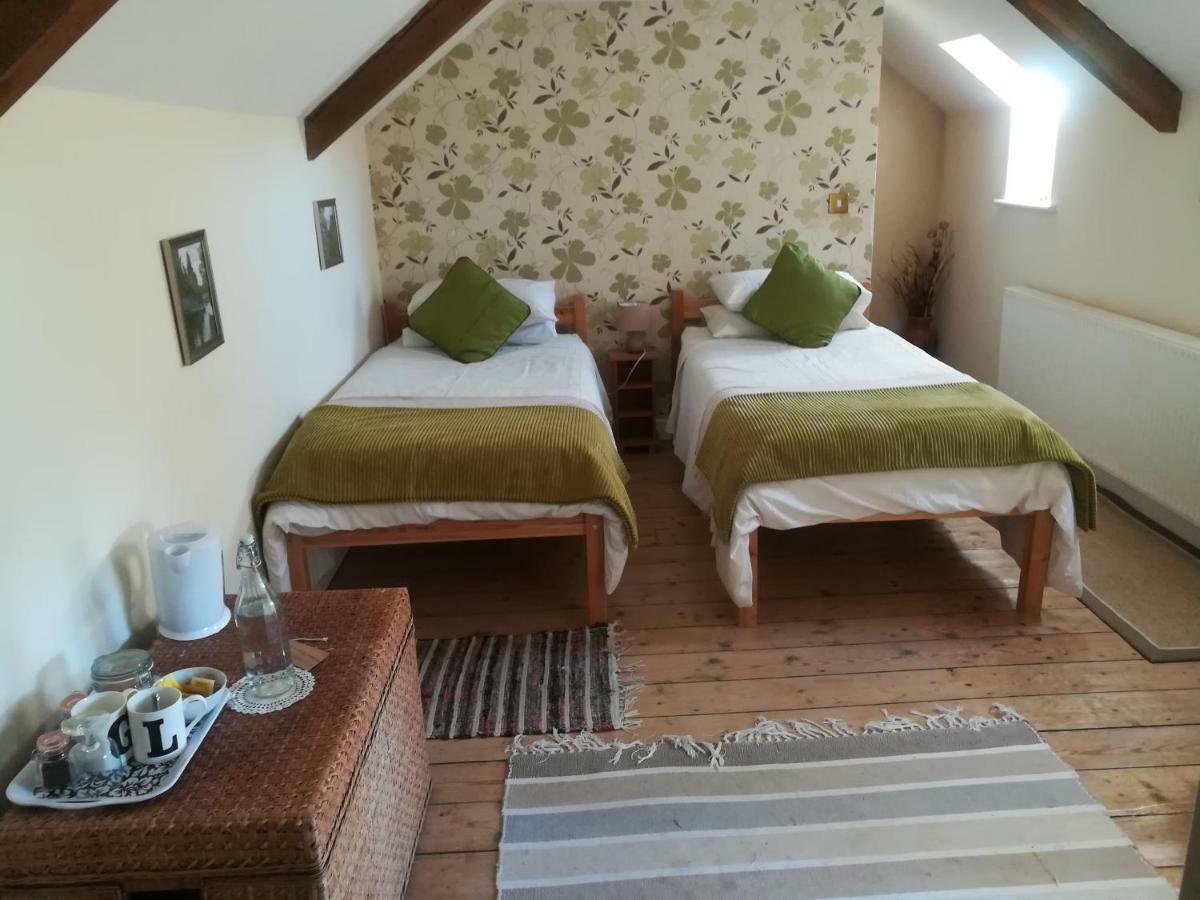 Bed and Breakfast Y Garreg Wen Llanybyther Exteriér fotografie