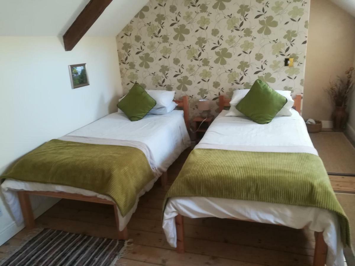 Bed and Breakfast Y Garreg Wen Llanybyther Exteriér fotografie