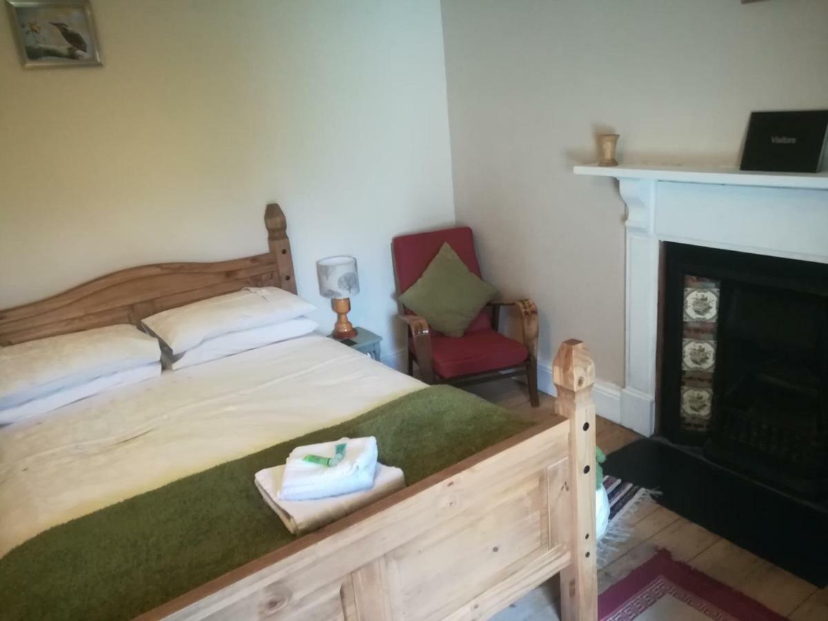 Bed and Breakfast Y Garreg Wen Llanybyther Exteriér fotografie
